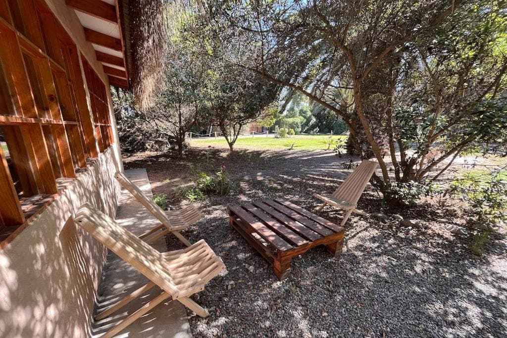 Eco Refugio El Arbol - View 3