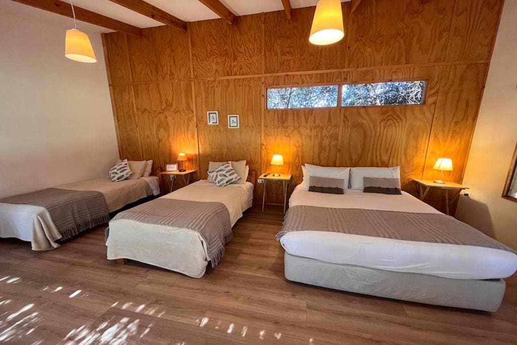 Eco Refugio El Arbol - View 6