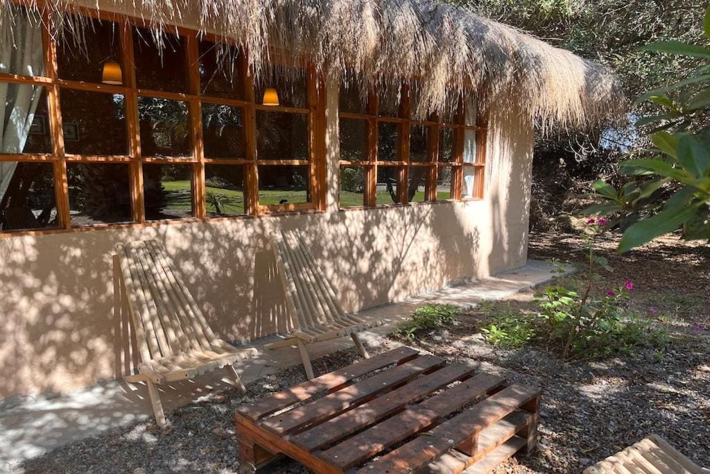 Eco Refugio El Arbol - View 5