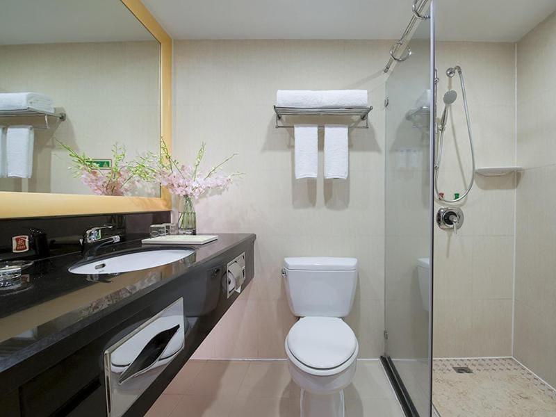 Vienna Hotel Dongguan Changping Avenue - View 3