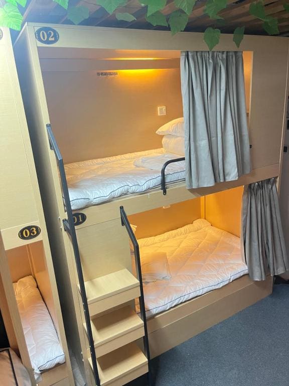 Zhihexing Youth Hostel-知和行青年酒店 - View 4