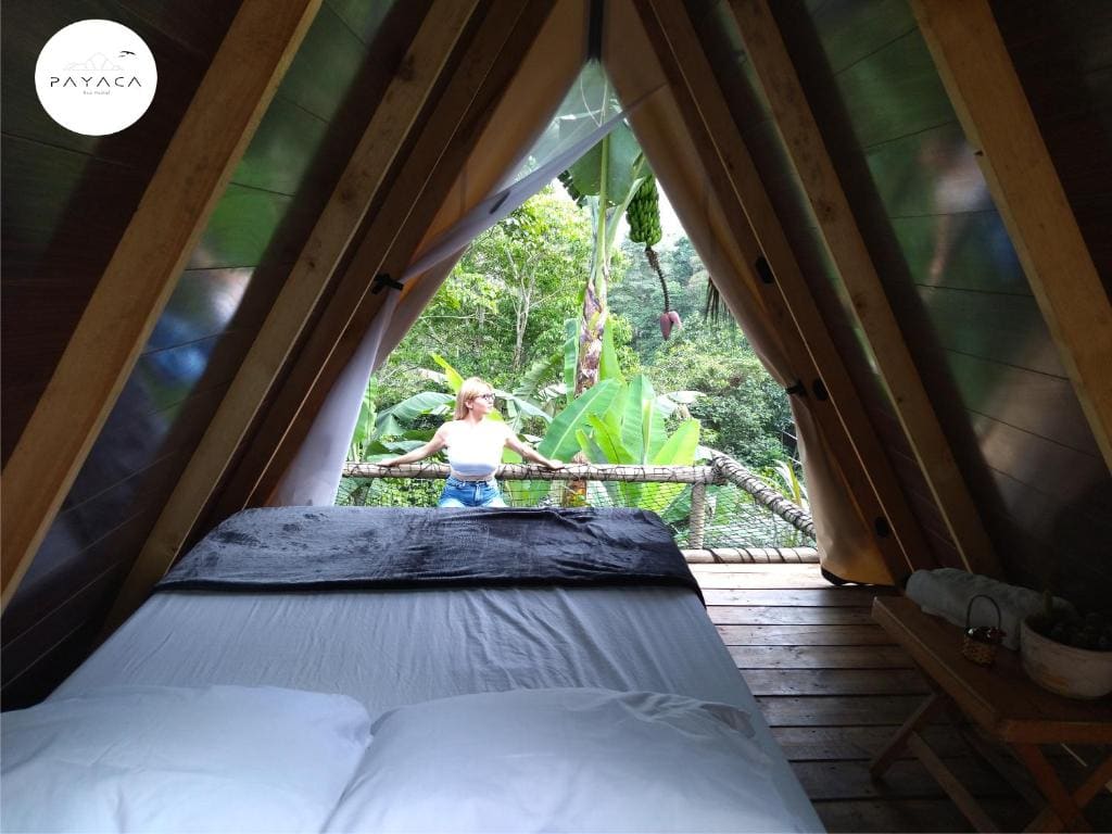 Hostal Payaca - View 3