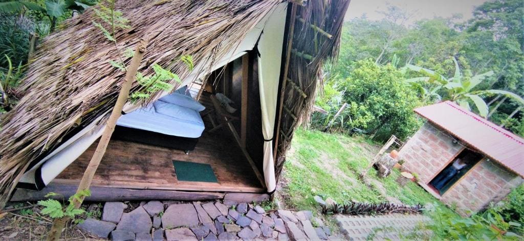Hostal Payaca - Main view