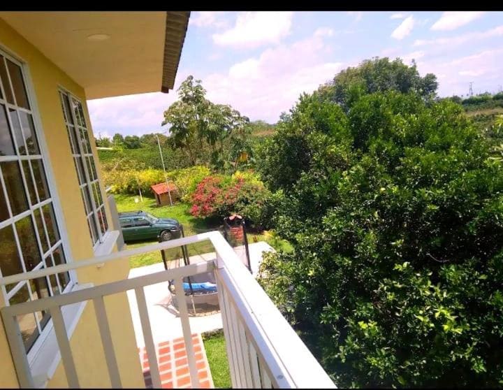 Finca Hotel el Amanecer - 写真 5