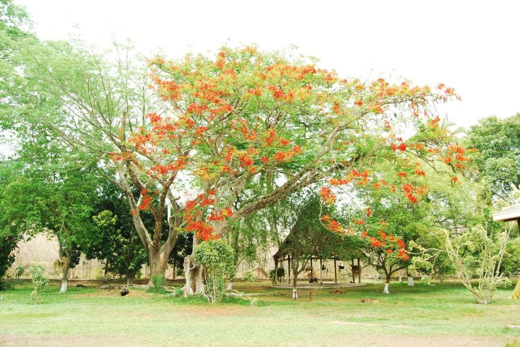 Finca la Querendona - View 5