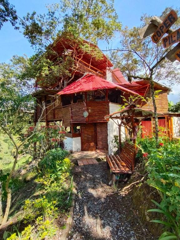 Hospedaje casa en el Árbol - View 4