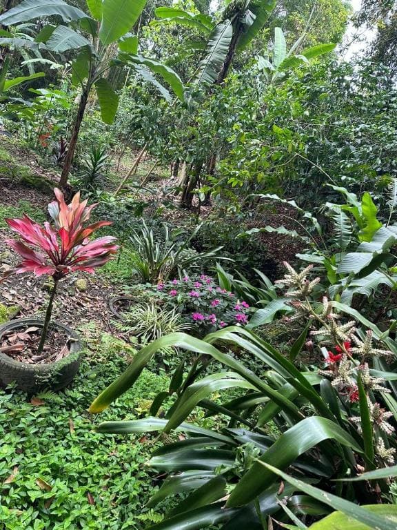 Hospedaje El Barranquito - View 2