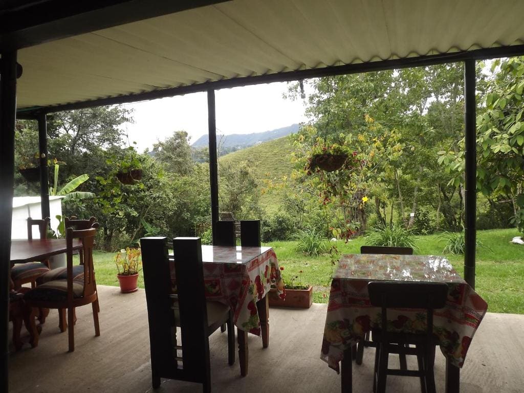 El ZORZAL - View 3