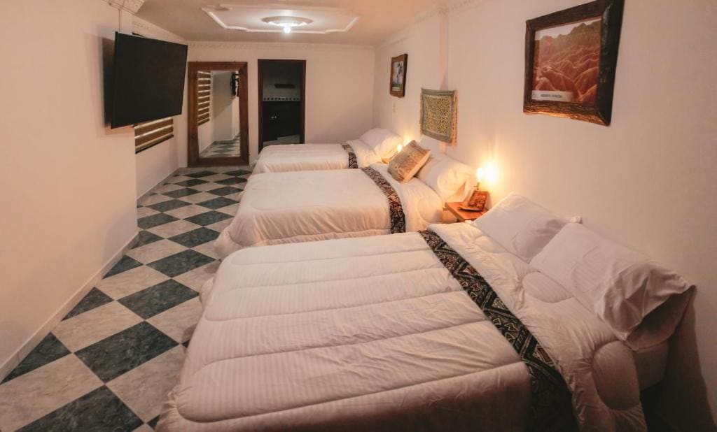 NOGAL HOSTEL - View 3