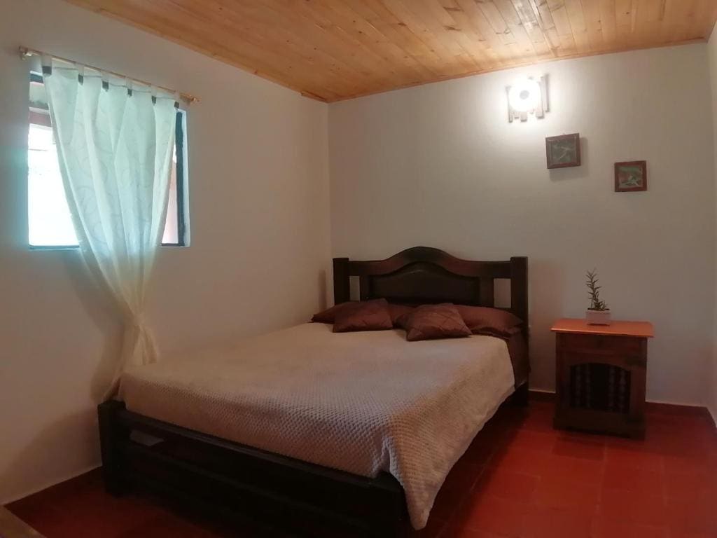 Nuestro Bosque I - View 6