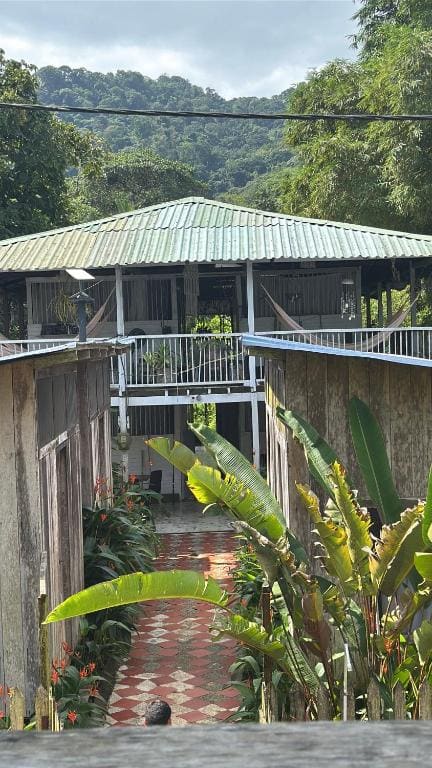 PRIMITIVO LODGE & dive center - 图片 2