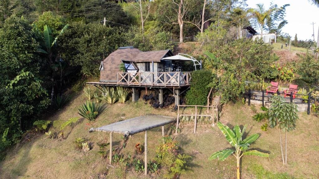 Roots Eco House - Main view