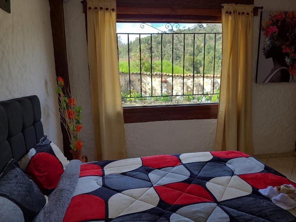 The Frailejon House - View 6