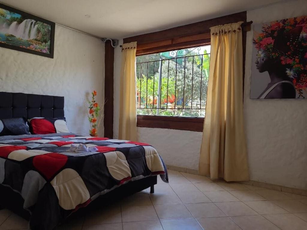 The Frailejon House - View 2