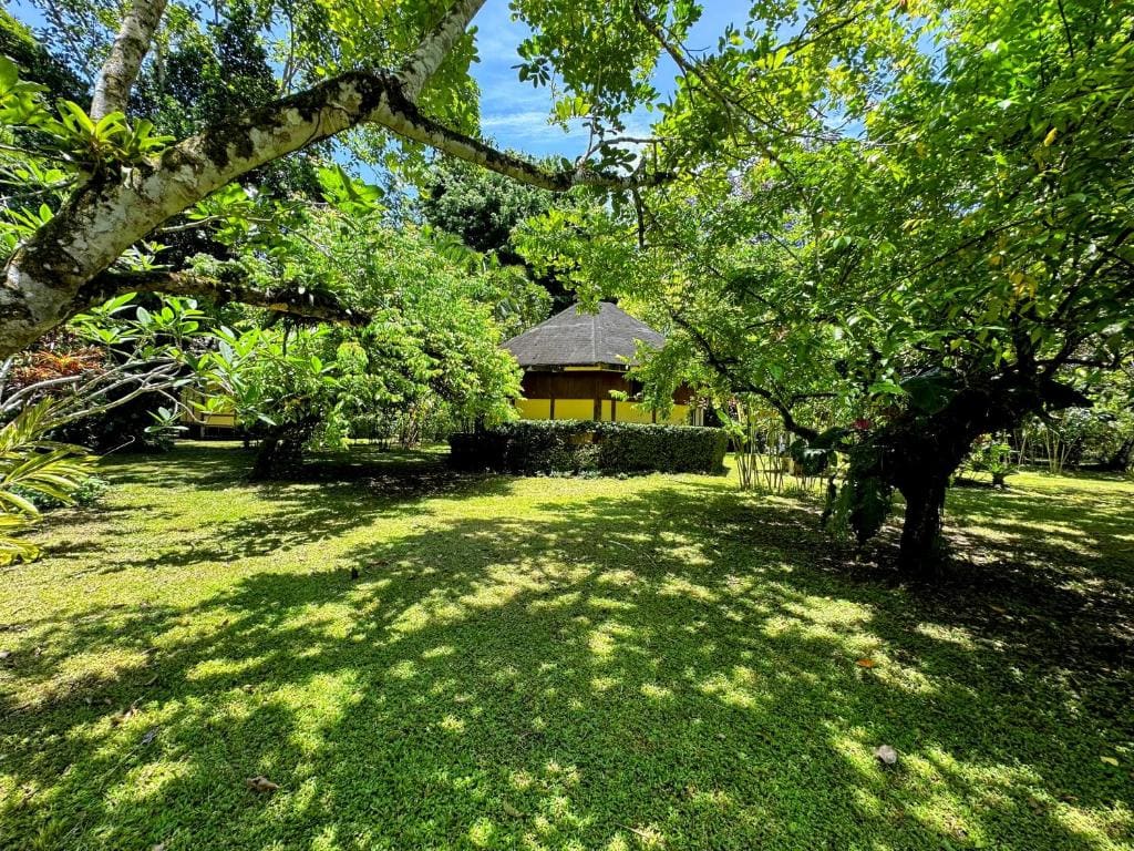 Alby Lodge Cahuita - View 3