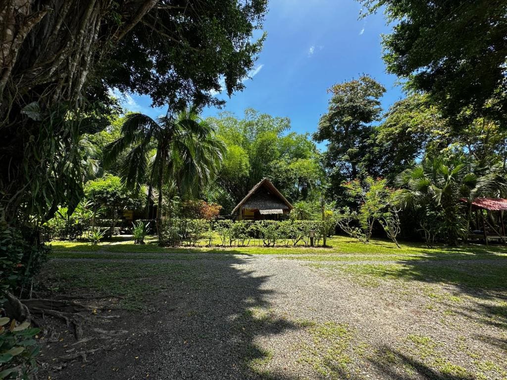 Alby Lodge Cahuita - View 4