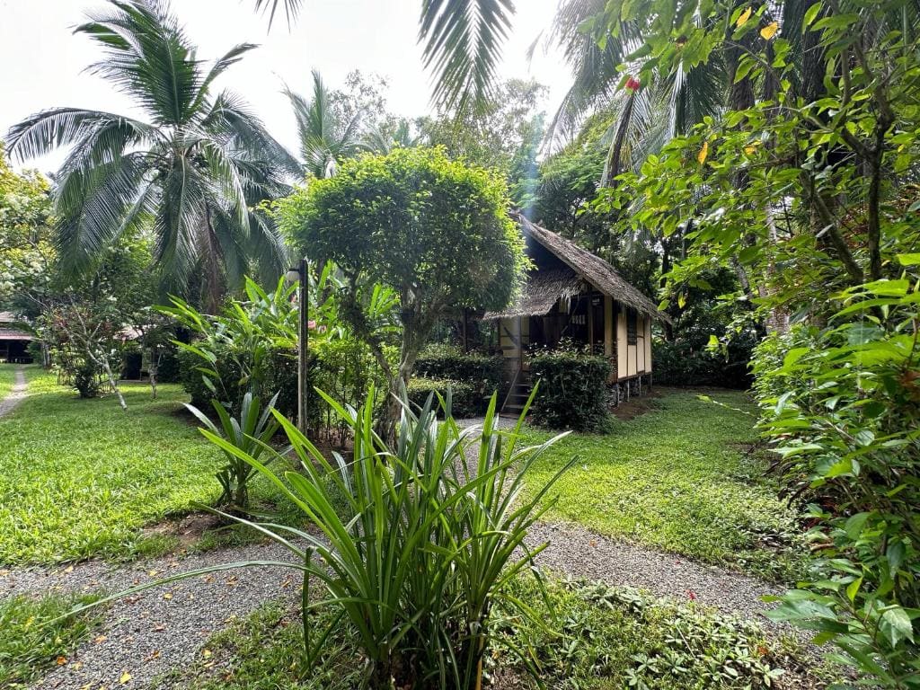 Alby Lodge Cahuita - Main view