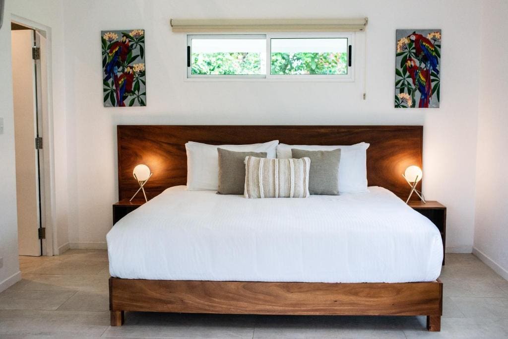 Aves Resort Montezuma - View 7