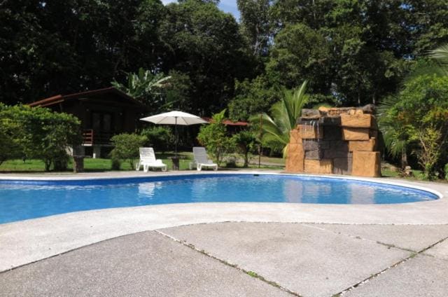 Hotel Brisas del Rio Guápiles - Vista 3