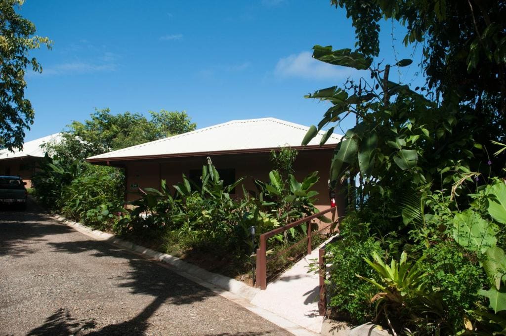 Drake Bay Greenleaf - Main view