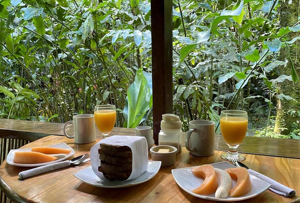 El Colibri Lodge - View 4