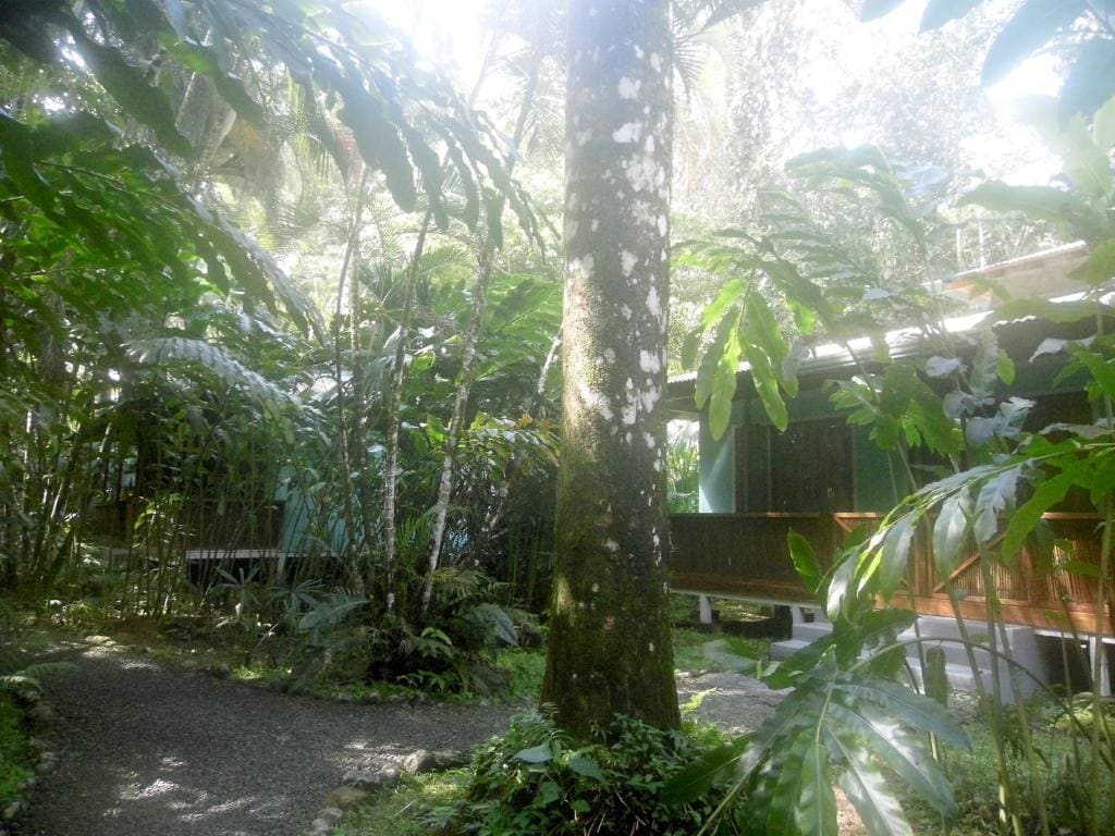 El Colibri Lodge - Main view
