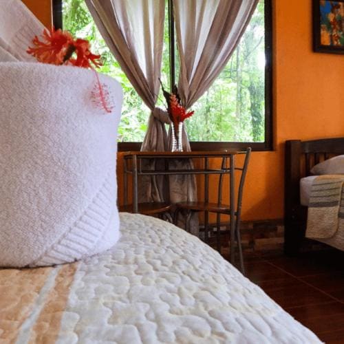 Finca Verde Lodge - View 7