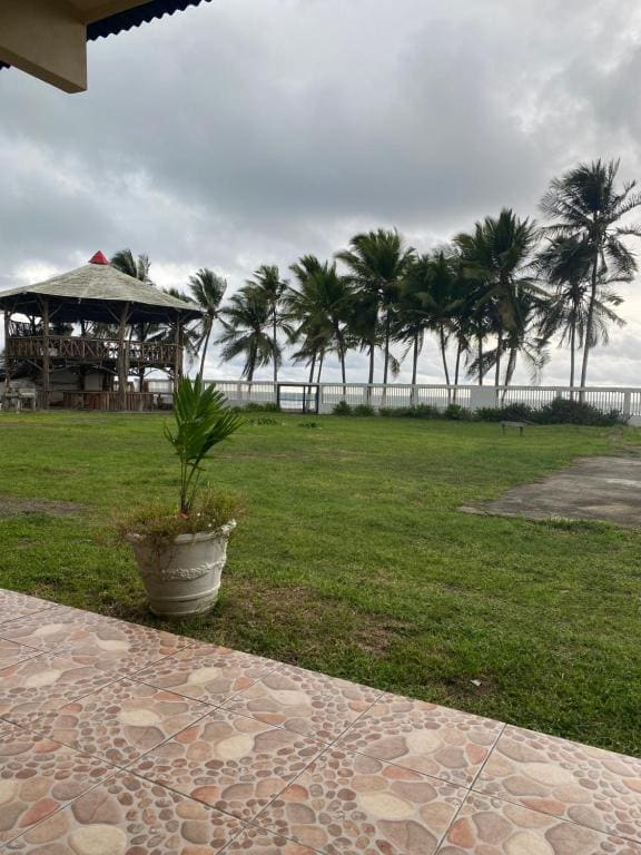 Gallina E Palo Beachfront Hotel - View 5