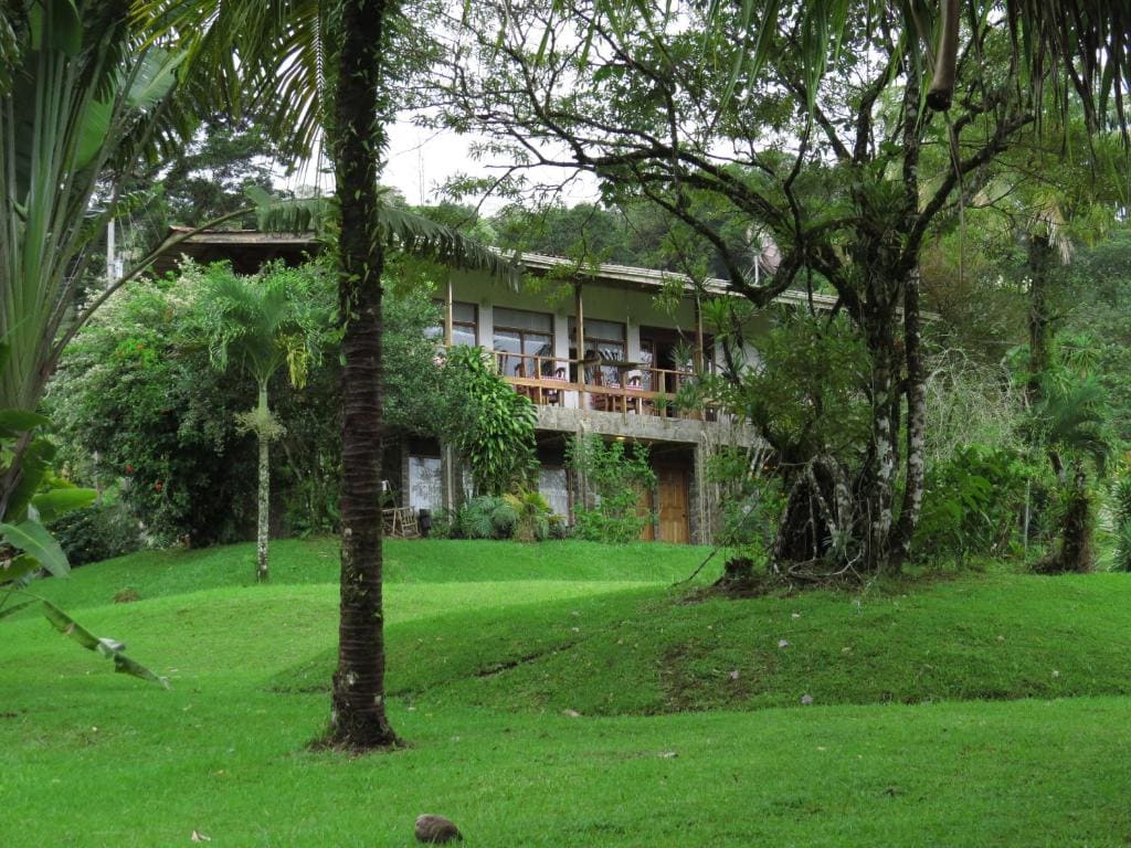 Hotel La Rana de Arenal - Main view