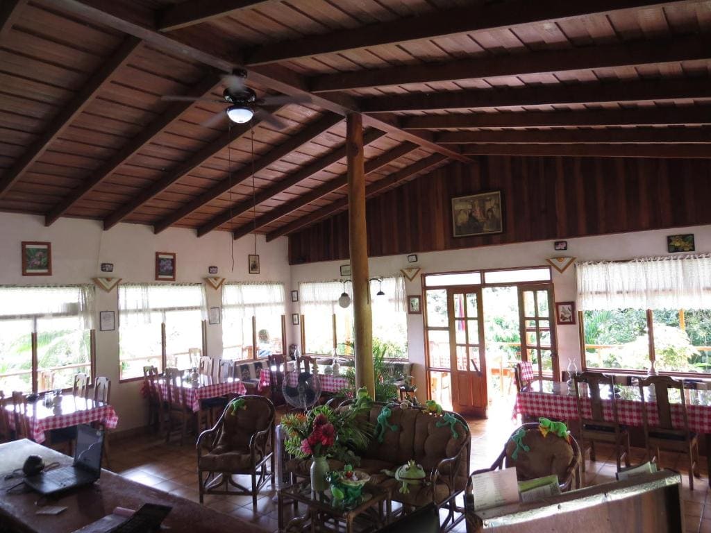 Hotel La Rana de Arenal - View 6