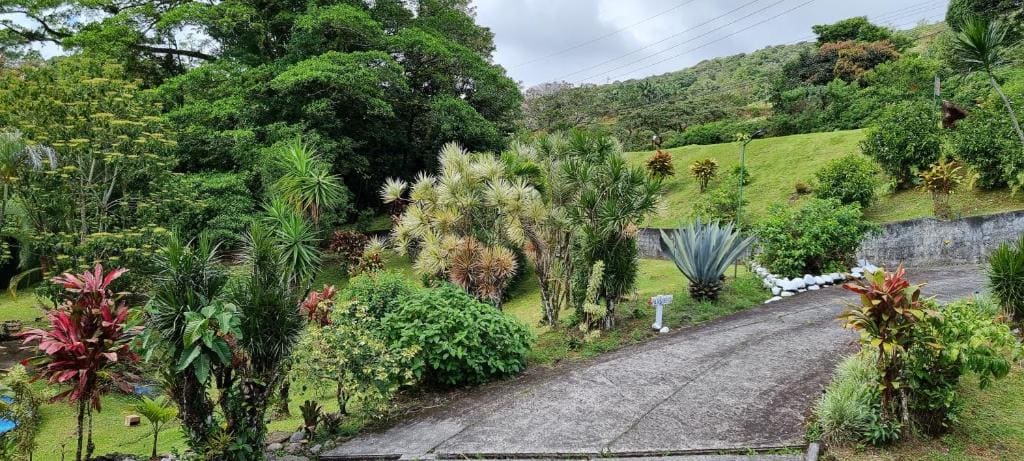 Hotel La Rana de Arenal - View 4