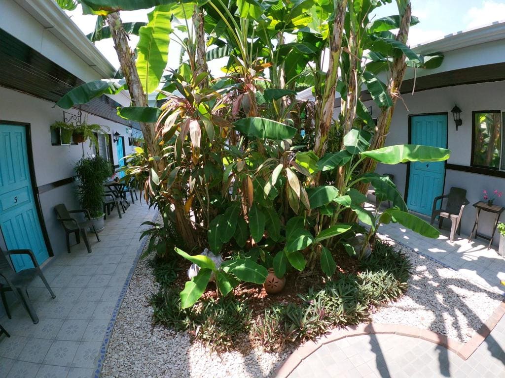 Hotel Perico Azul & Surf Camp - View 5