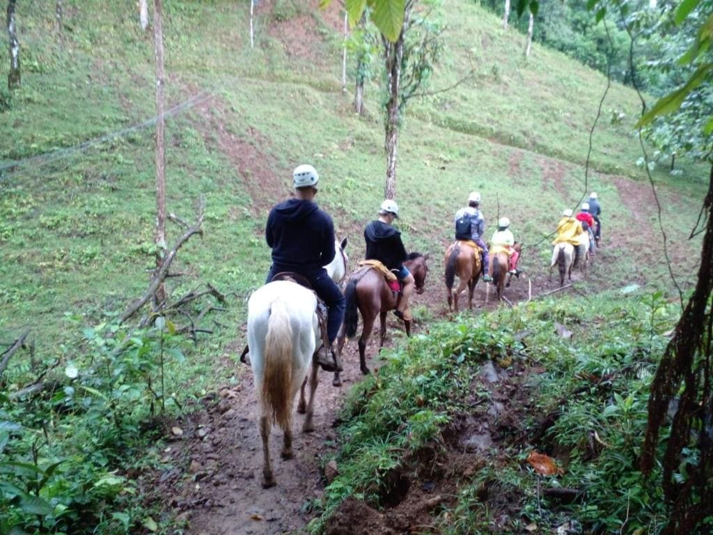 Hotel Rio Celeste to Know - View 5