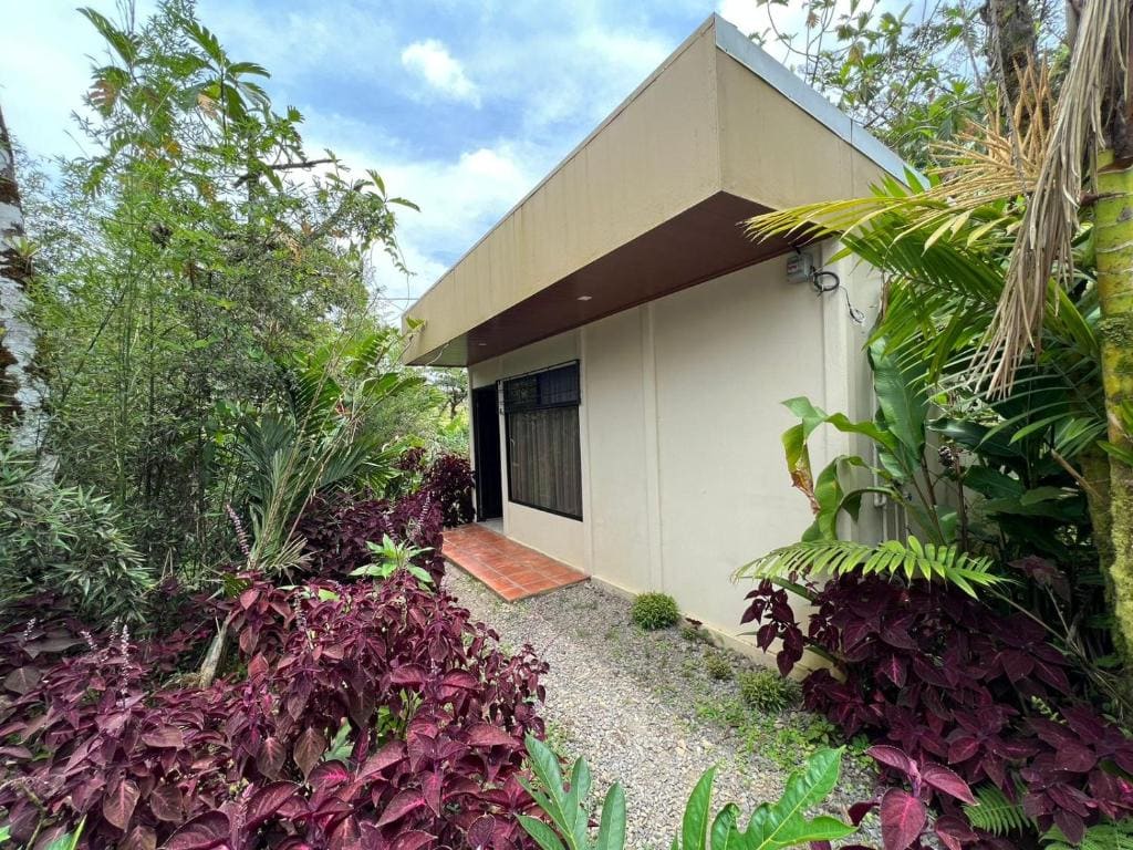 Hotel Rio Celeste to Know - Main view