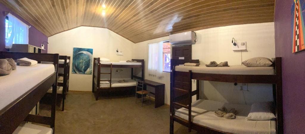 TamaHostel & Glamping - Main view