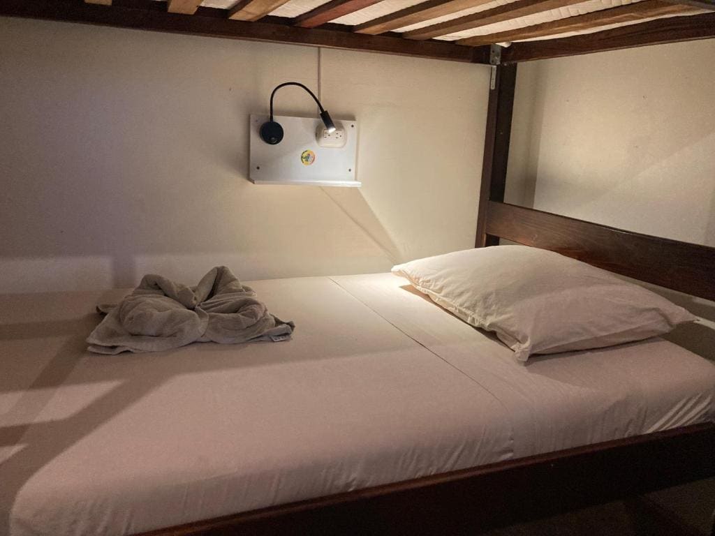 TamaHostel & Glamping - View 5