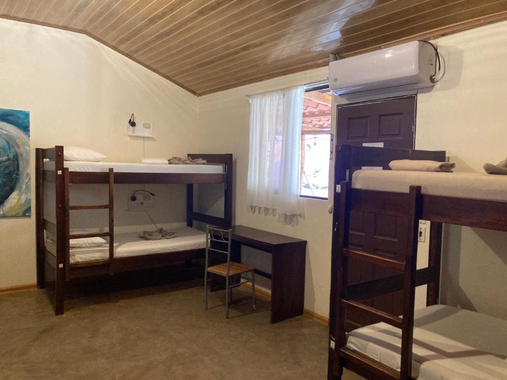 TamaHostel & Glamping - View 2