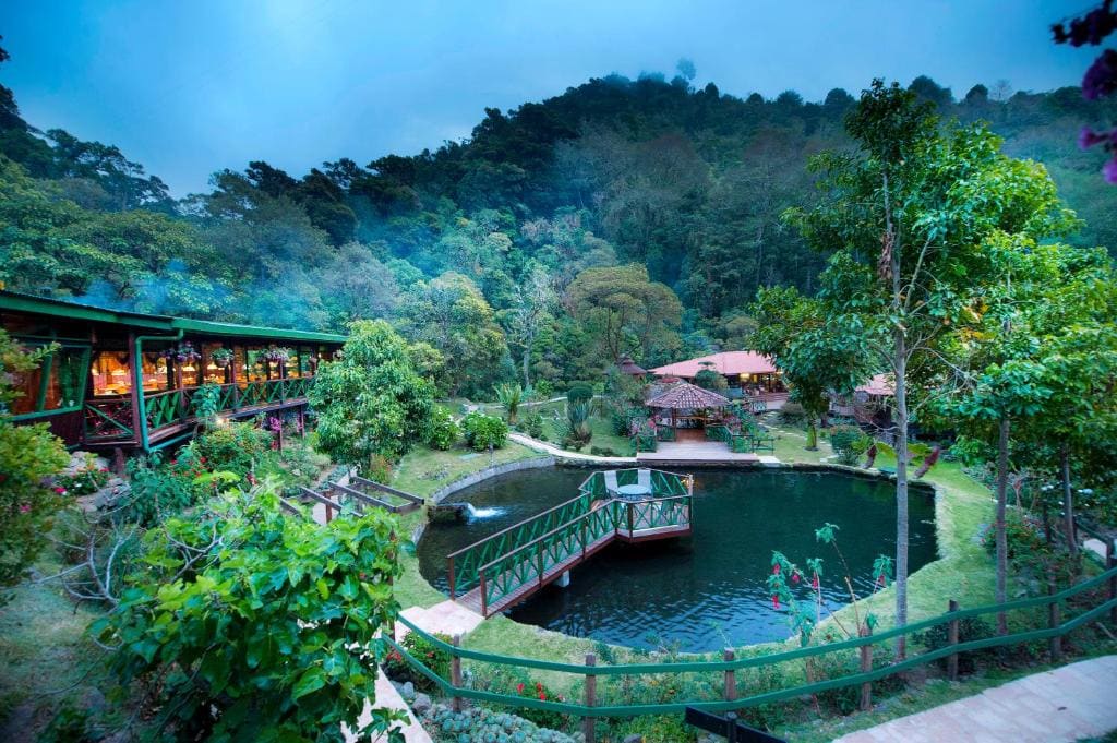 Trogon Lodge - View 4