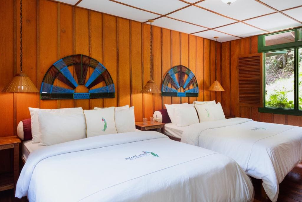 Trogon Lodge - View 2