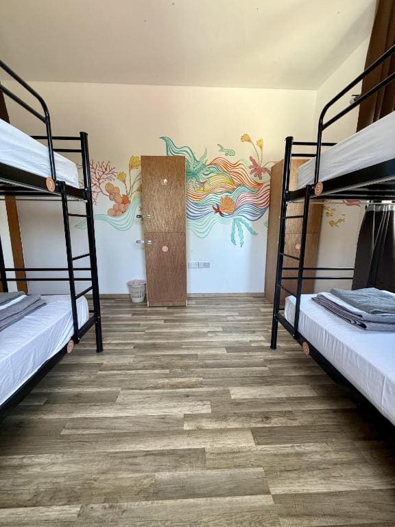 House of Nissus Hostel - व्यू 4