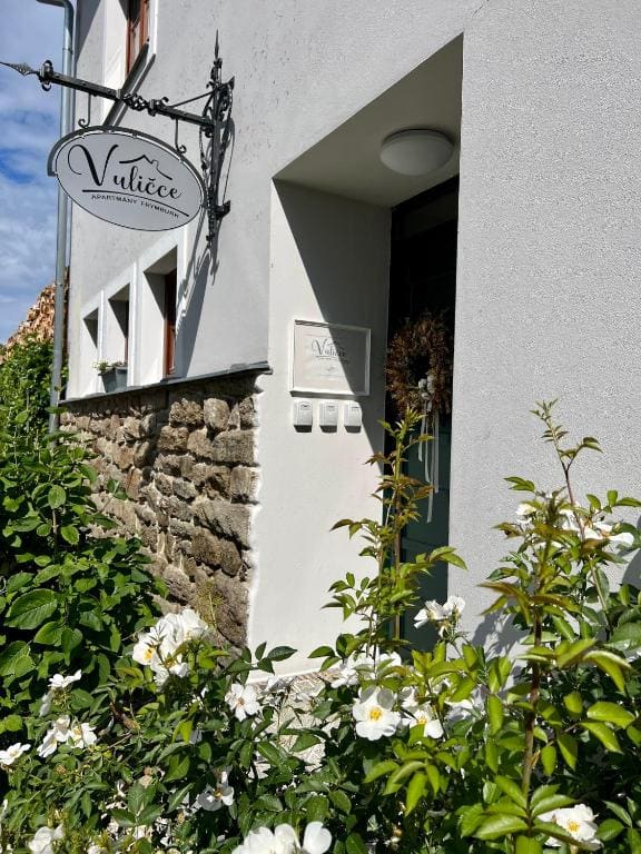 Apartmány V uličce Frymburk - View 5