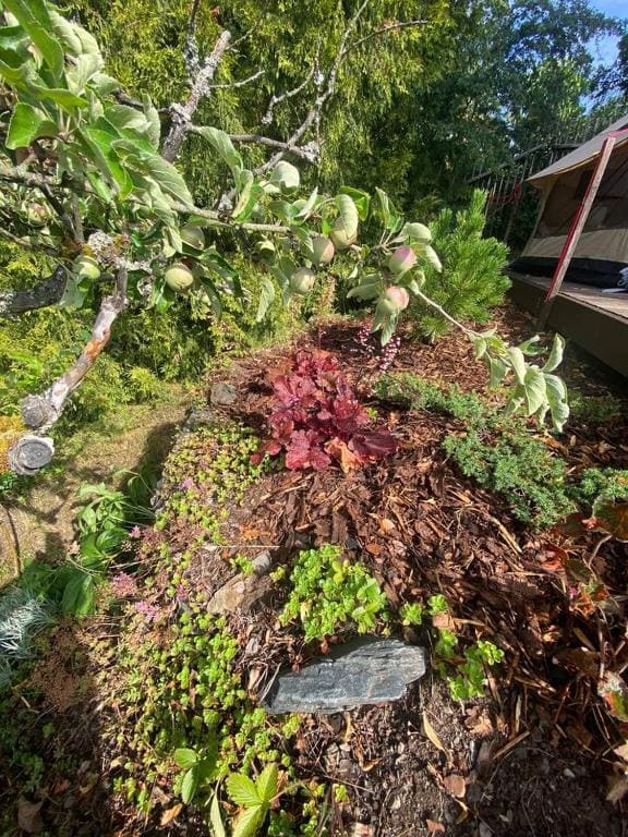 Hvězdný glamping - メイン写真