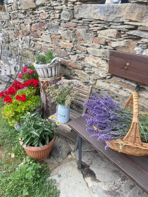 Hvězdný glamping - 写真 6