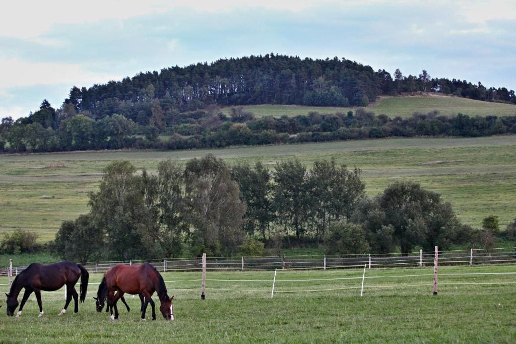 Pension Jezerná - View 5