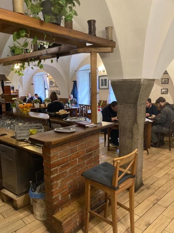 Penzion a restaurace Modrá růže Tábor - View 6