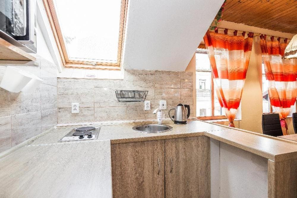 Splněný sen - penzion Pavlovice - 写真 6