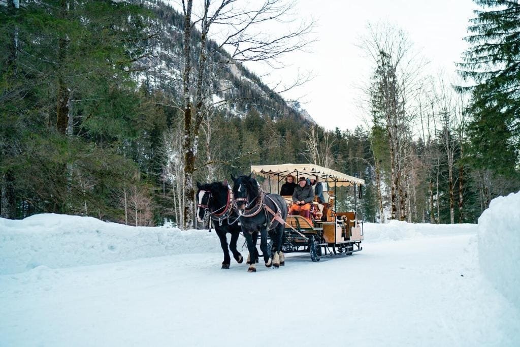 aja Ruhpolding - View 5