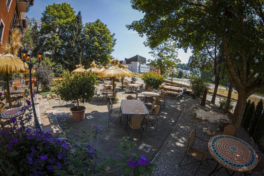 Rebgarten Hotel Adler - View 5
