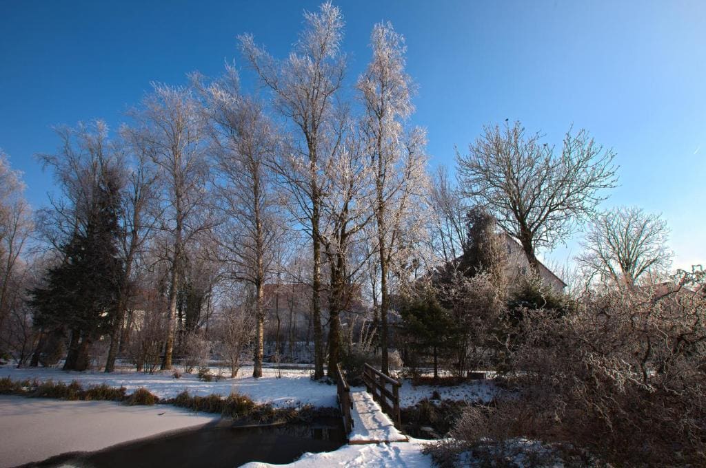 Hotel Alter Wirt - View 3