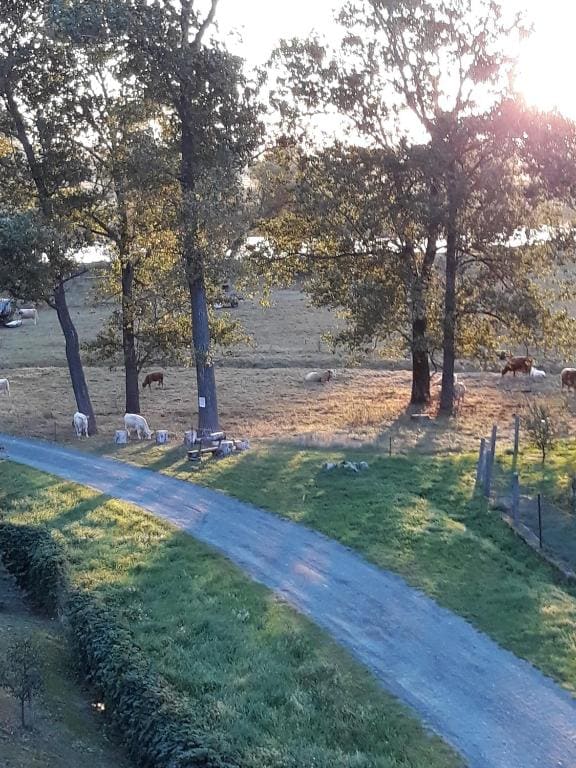 An den Elbwiesen Gästezimmer "Weißstorch" Nur Nichtraucher - View 4